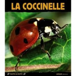 La coccinelle vignette