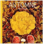 Land art d'automne vignette