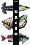 Nacéo vignette